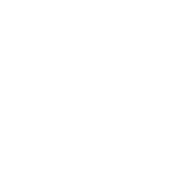 Black friday - 45% discount