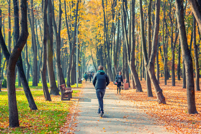 man walking in park