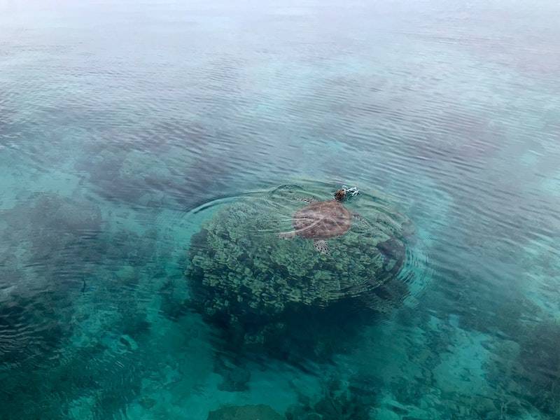 Amédée Islet, New Caledonia