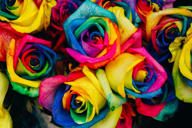 Multicolored flowers